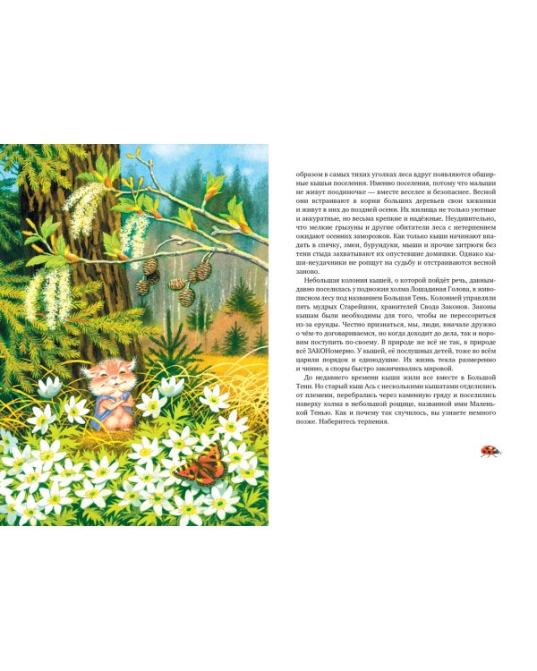 Большой Кыш