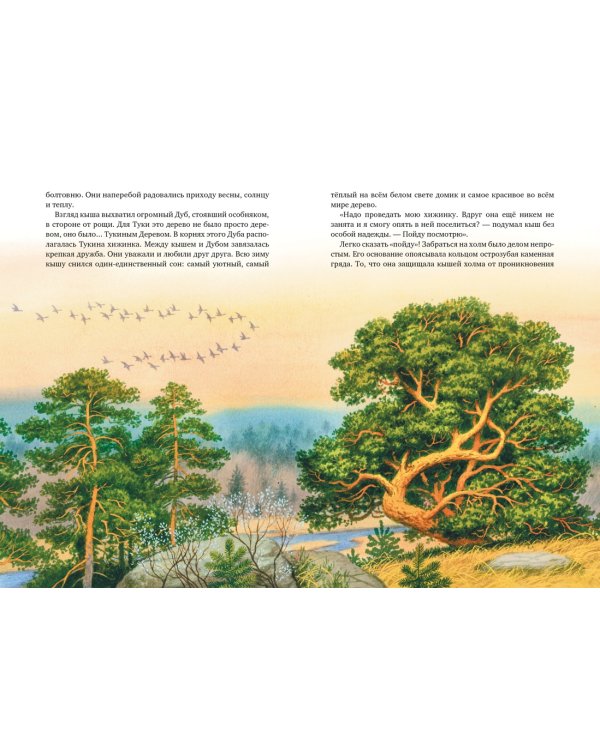 Большой Кыш