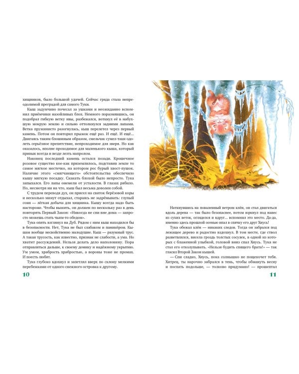 Большой Кыш