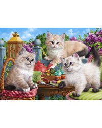 Алмаз.мозаика (класс.) 30х40 см, на картоне с част.заполн. (15 цв.). КОТЯТА НЕВСК. МАСКАРАДН. ACA003