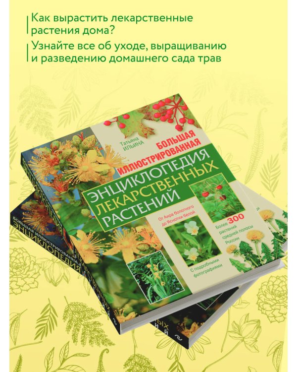Дополнительное изображение книги «Большая иллюстрированная энциклопедия лекарственных растений»