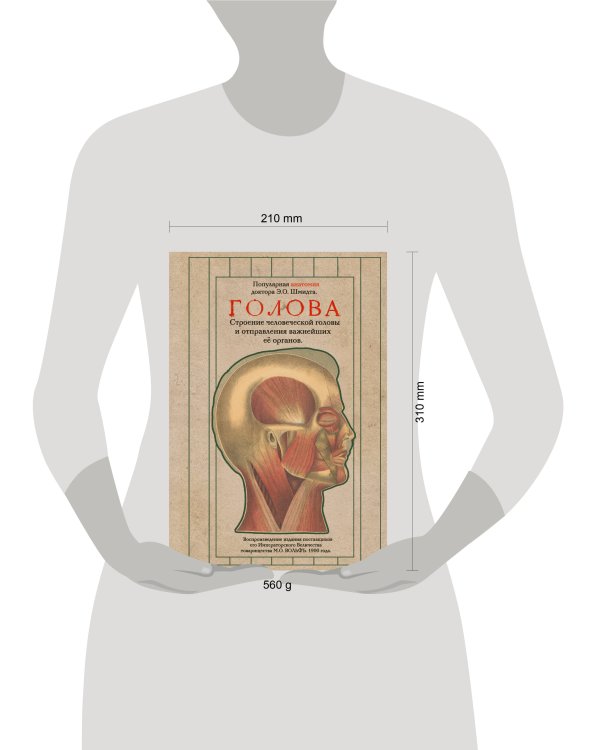 Дополнительное изображение книги «Голова. Строение человеческой головы и отправления важнейших её органов»