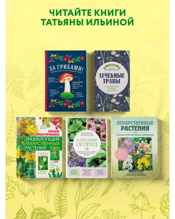 Дополнительное изображение книги «Большая иллюстрированная энциклопедия лекарственных растений»
