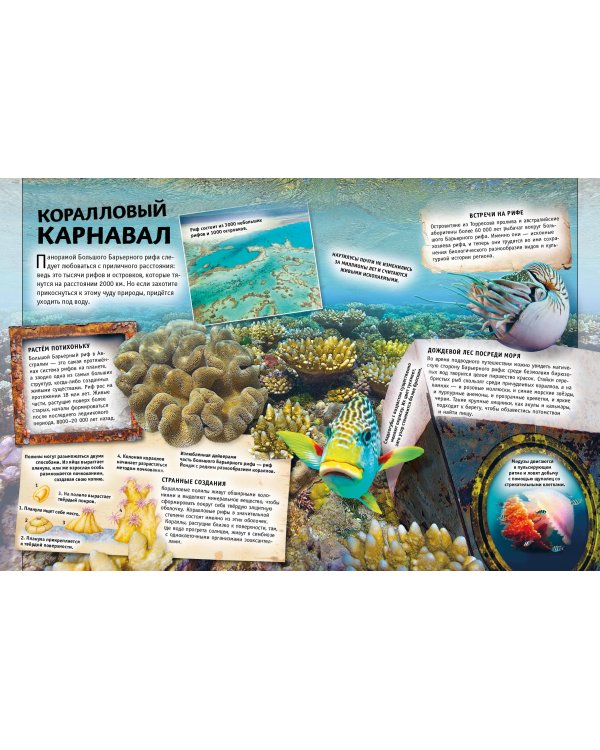 Земля. Книга юного эрудита