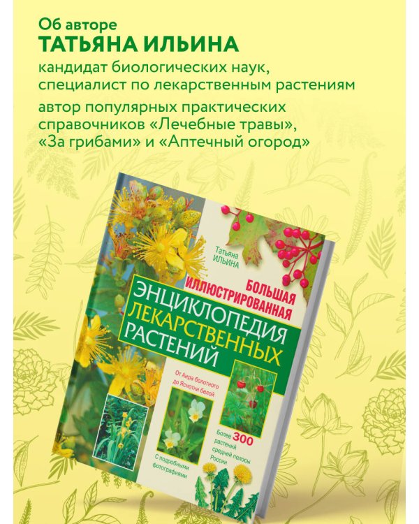 Дополнительное изображение книги «Большая иллюстрированная энциклопедия лекарственных растений»
