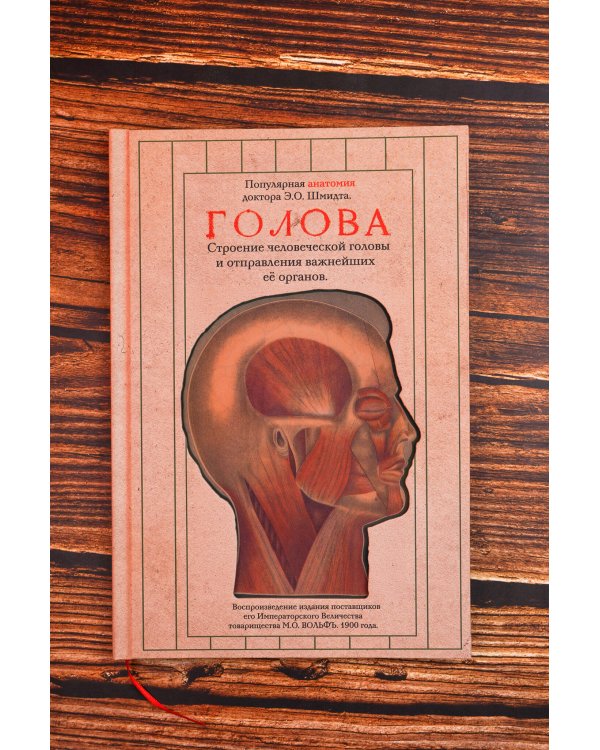Дополнительное изображение книги «Голова. Строение человеческой головы и отправления важнейших её органов»