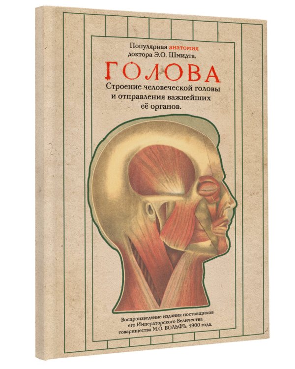 Дополнительное изображение книги «Голова. Строение человеческой головы и отправления важнейших её органов»