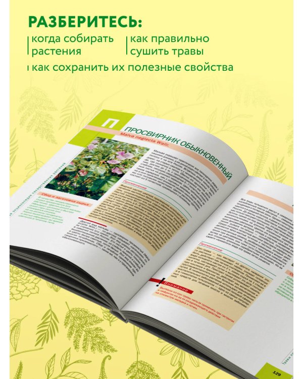 Дополнительное изображение книги «Большая иллюстрированная энциклопедия лекарственных растений»