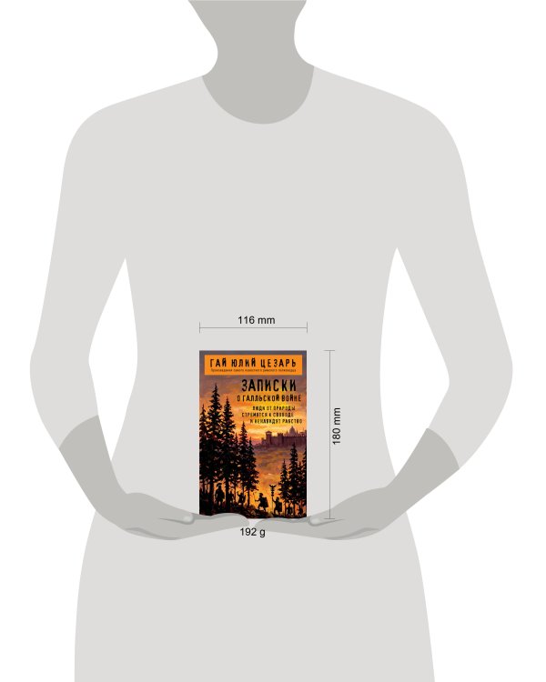 Дополнительное изображение книги «Записки о Галльской войне»