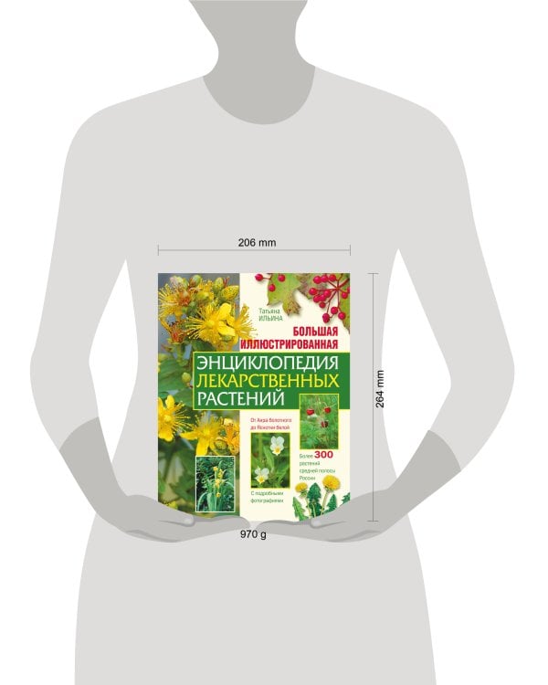 Большая иллюстрированная энциклопедия лекарственных растений
