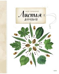 Мой гербарий. Листья деревьев