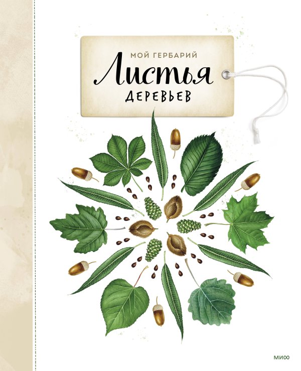 Мой гербарий Мой гербарий. Листья деревьев
