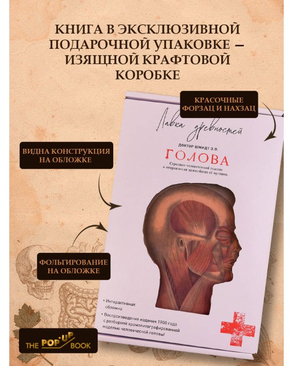Дополнительное изображение книги «Голова. Строение человеческой головы и отправления важнейших её органов»