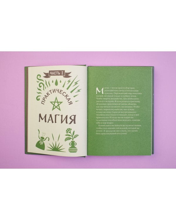 Книга заклинаний для новых ведьм. 130 простых заклинаний и ритуалов, чтобы изменить свою жизнь