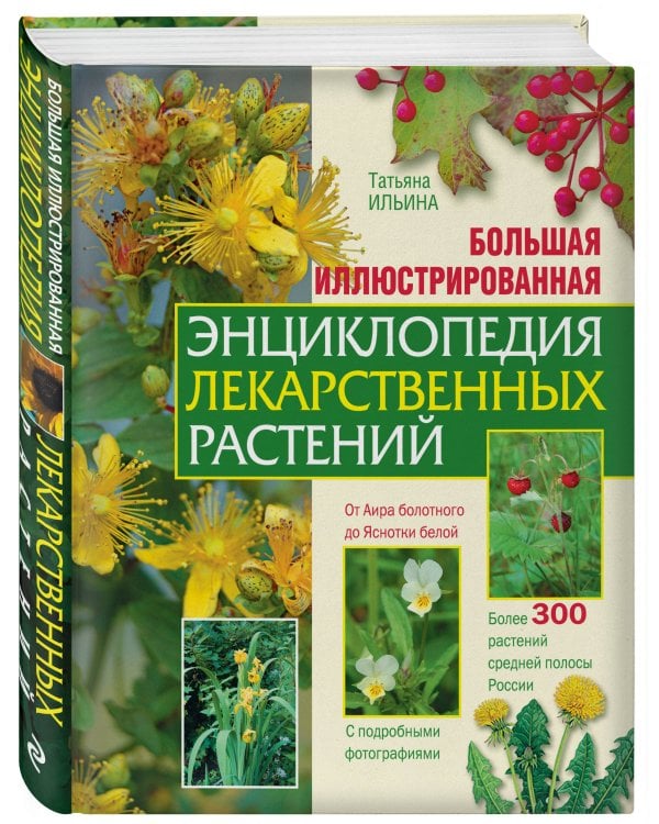 Большая иллюстрированная энциклопедия лекарственных растений