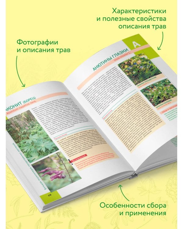 Дополнительное изображение книги «Большая иллюстрированная энциклопедия лекарственных растений»