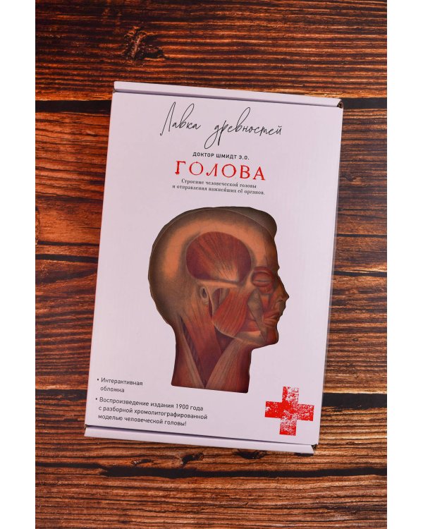 Дополнительное изображение книги «Голова. Строение человеческой головы и отправления важнейших её органов»