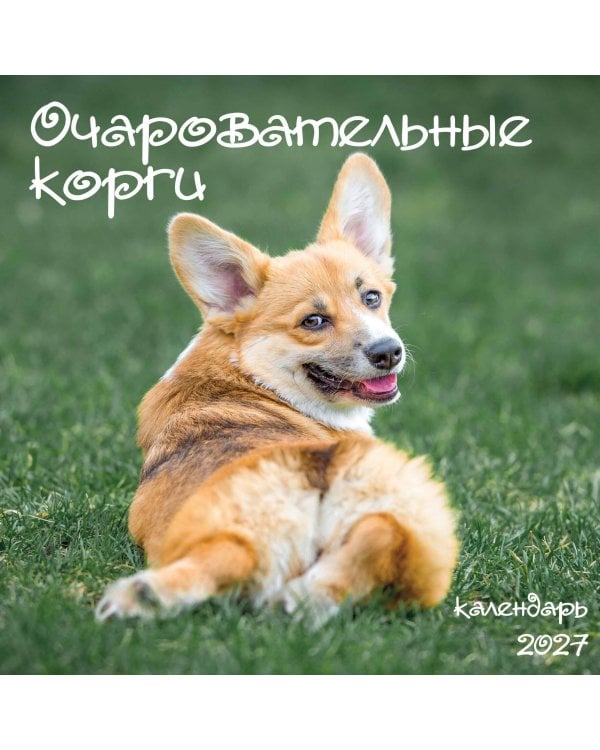 Очаровательные корги. Календарь настенный на 2027 год (300х300 мм)
