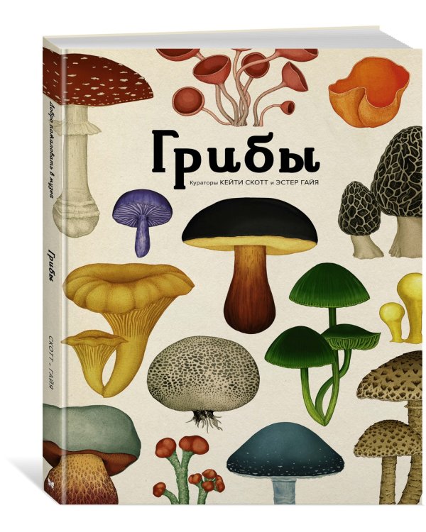 Грибы