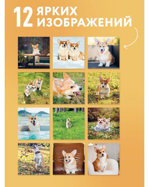 Очаровательные корги. Календарь настенный на 2027 год (300х300 мм)