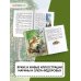 Корзина с еловыми шишками