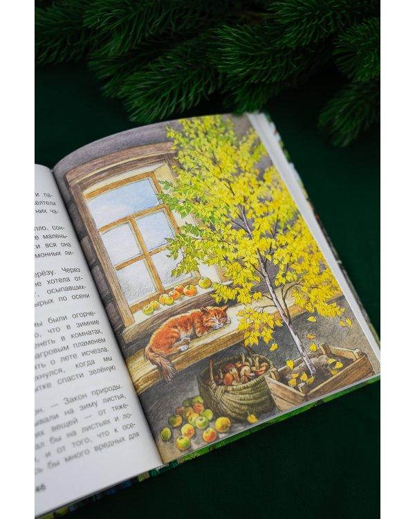 Корзина с еловыми шишками