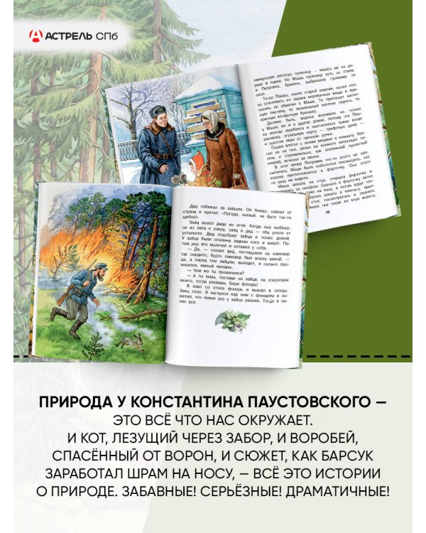 Корзина с еловыми шишками