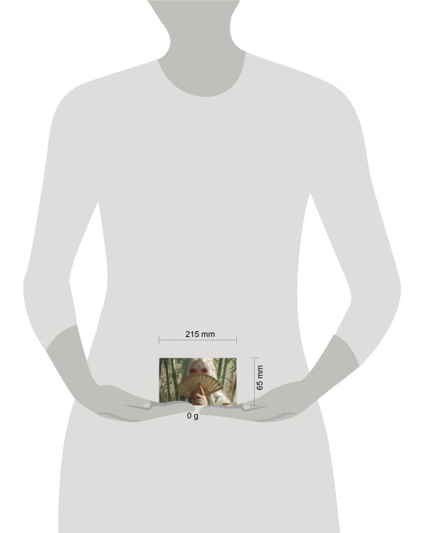 Кардхолдер. Маньхуа. Принцесса с веером (в форме книжки, 215х65 мм)