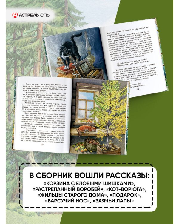 Корзина с еловыми шишками
