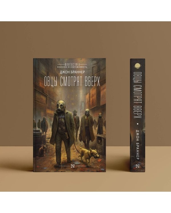 Овцы смотрят вверх