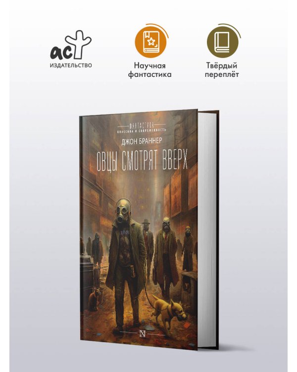 Овцы смотрят вверх