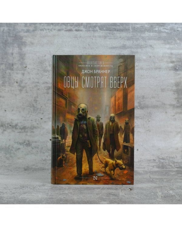 Овцы смотрят вверх