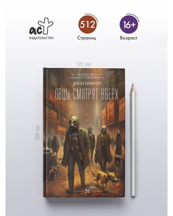 Овцы смотрят вверх