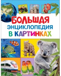 Большая энциклопедия в картинках
