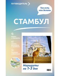 Стамбул. Что там делать. Маршруты на 3 дня