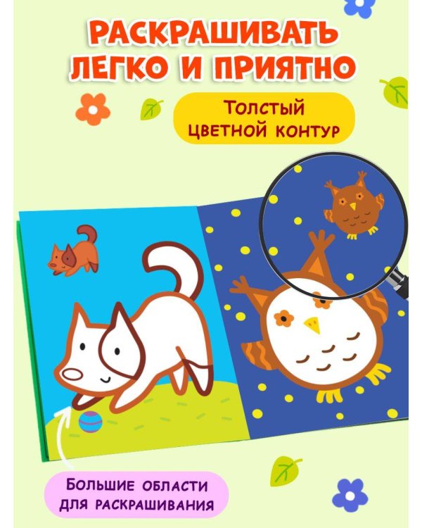 Раскраска с цветным контуром (Сова)