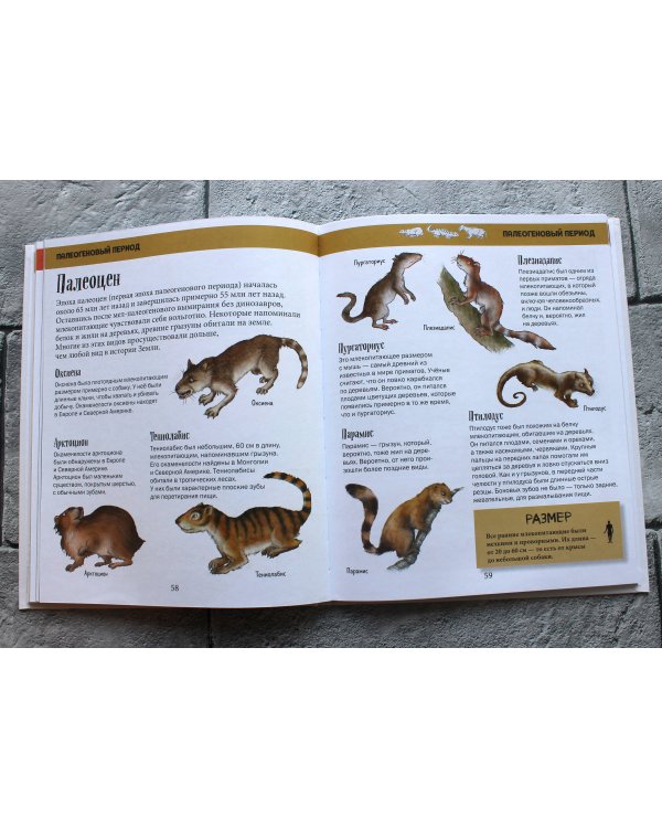 История жизни на Земле. От бактерии до человека