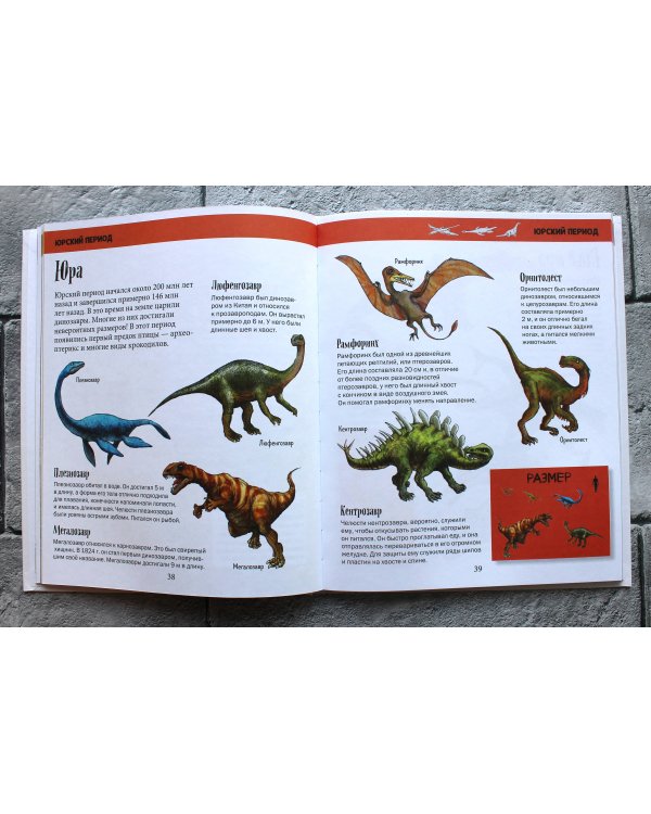 История жизни на Земле. От бактерии до человека