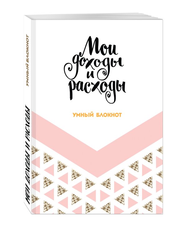 Мои доходы и расходы. Умный блокнот. Большой CashBook (Dream)