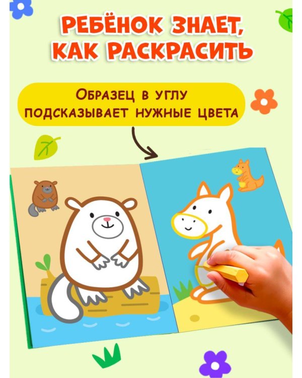 Раскраска с цветным контуром (Сова)