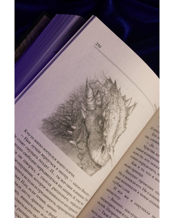 Сожженные земли. Павший