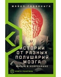 Истории от разных полушарий мозга