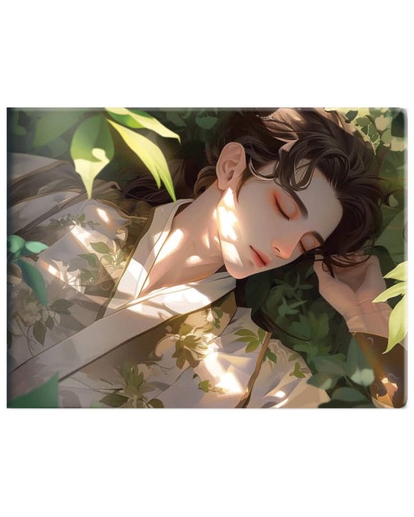 Кардхолдер. Маньхуа. Спящий принц (в форме книжки, 215х65 мм)