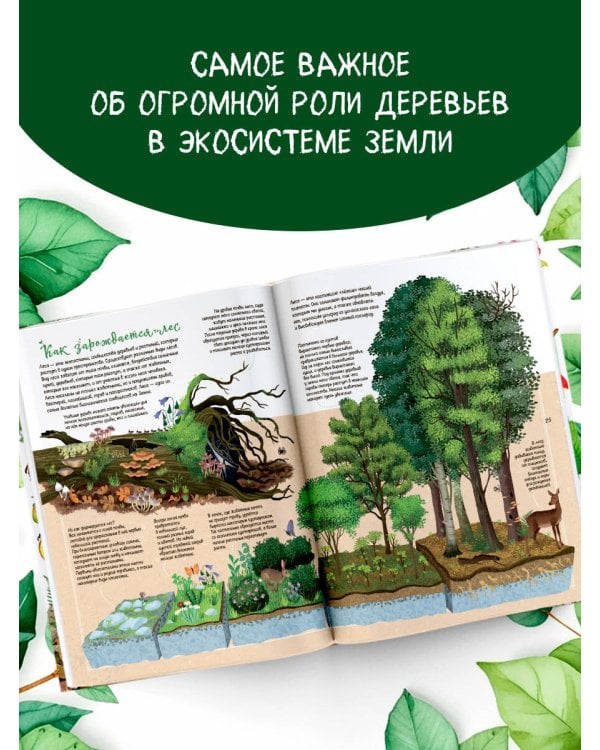 Энциклопедия деревьев мира