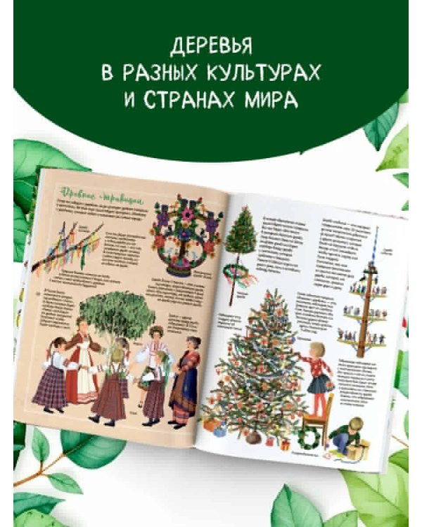 Энциклопедия деревьев мира