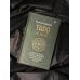 Таро. Тайные техники работы с Арканами. Энергии стихий, знаки зодиака, гипноз