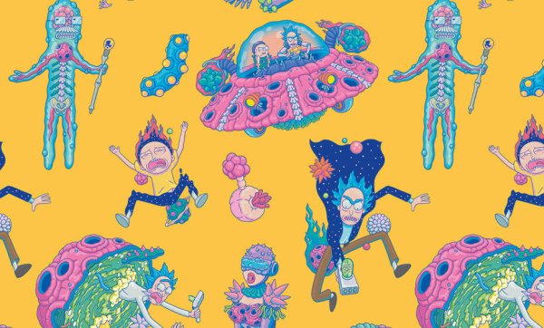 Вселенная Rick and Morty/Рик и Морти Кардхолдер. Рик и Морти (в форме книжки, 215х65 мм, желтый)