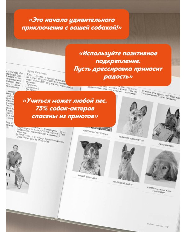 СОБАКА, которая УМЕЕТ ВСЕ. Пошаговое руководство по 118 удивительным трюкам