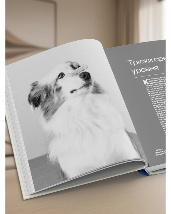 СОБАКА, которая УМЕЕТ ВСЕ. Пошаговое руководство по 118 удивительным трюкам