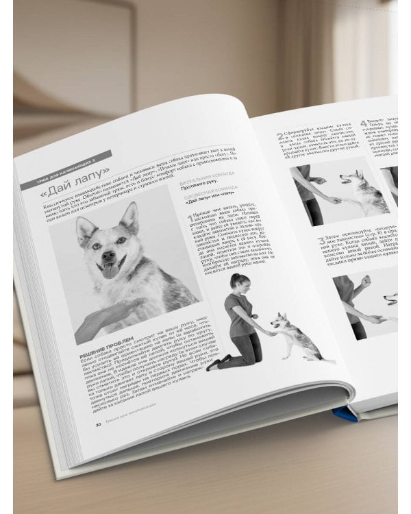 СОБАКА, которая УМЕЕТ ВСЕ. Пошаговое руководство по 118 удивительным трюкам